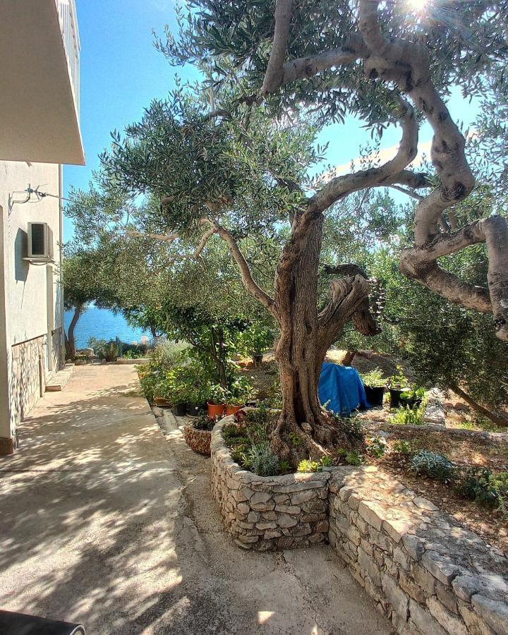 Apartment Casa Del Olivo Tucepi